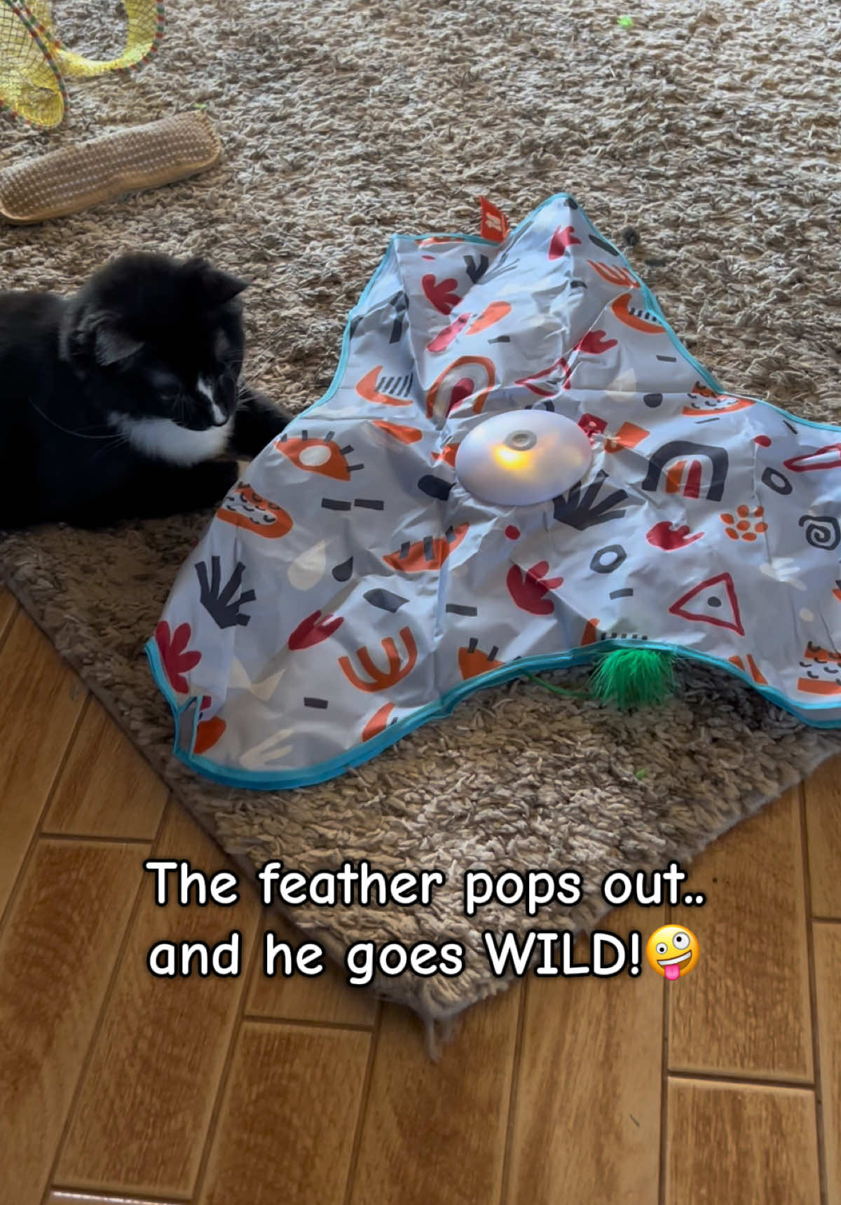@presleythetuxie