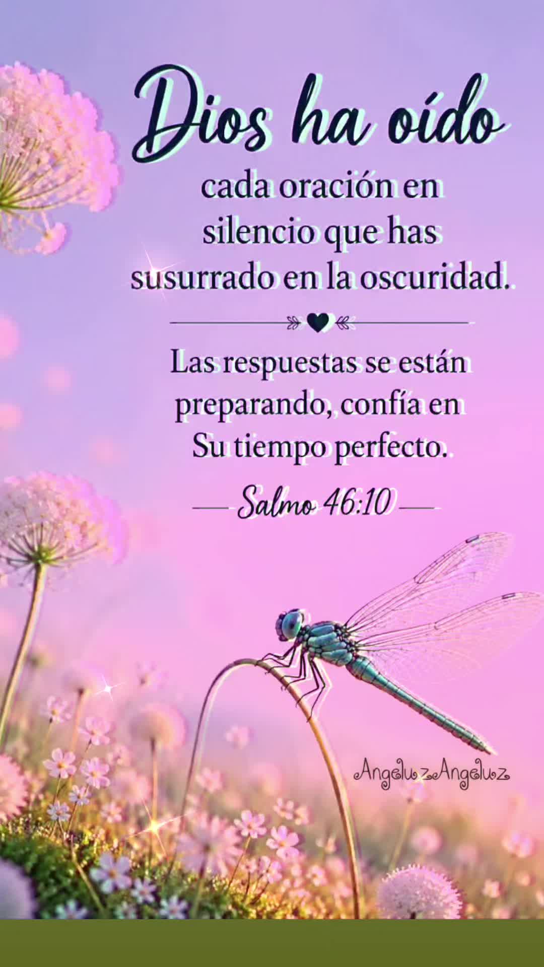 @Angeluz