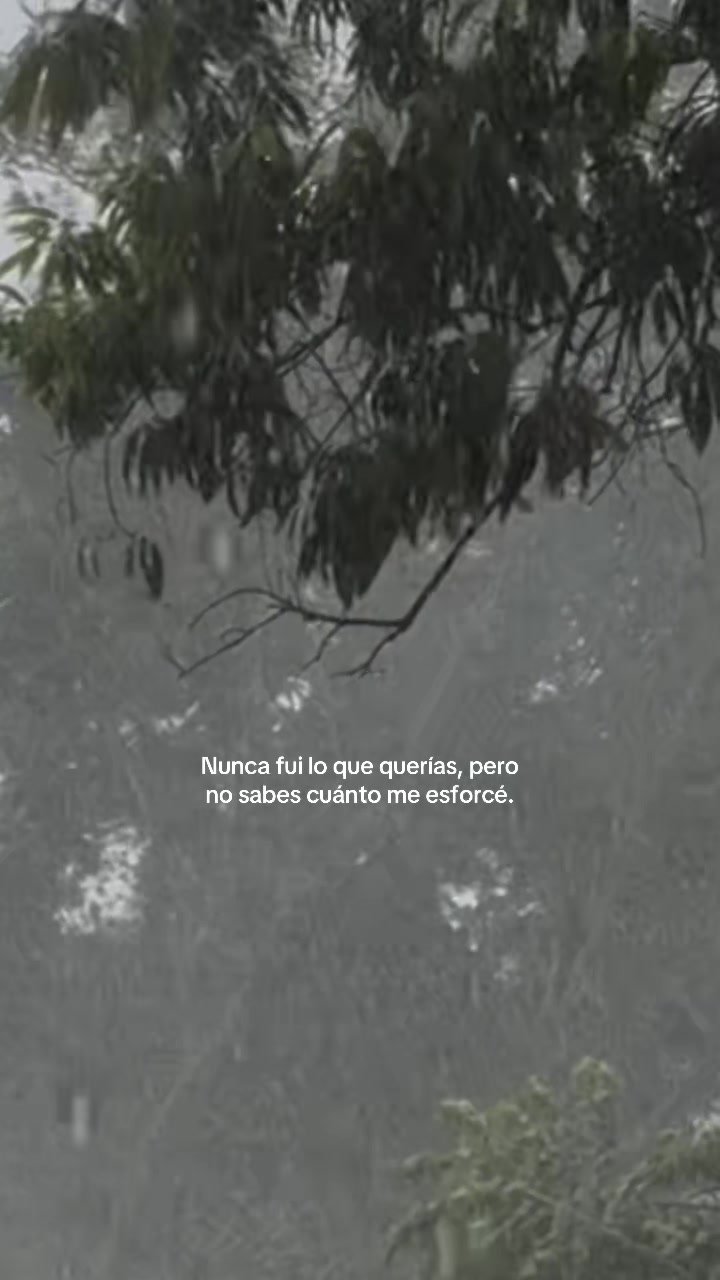 @Buena M&uacute;sica