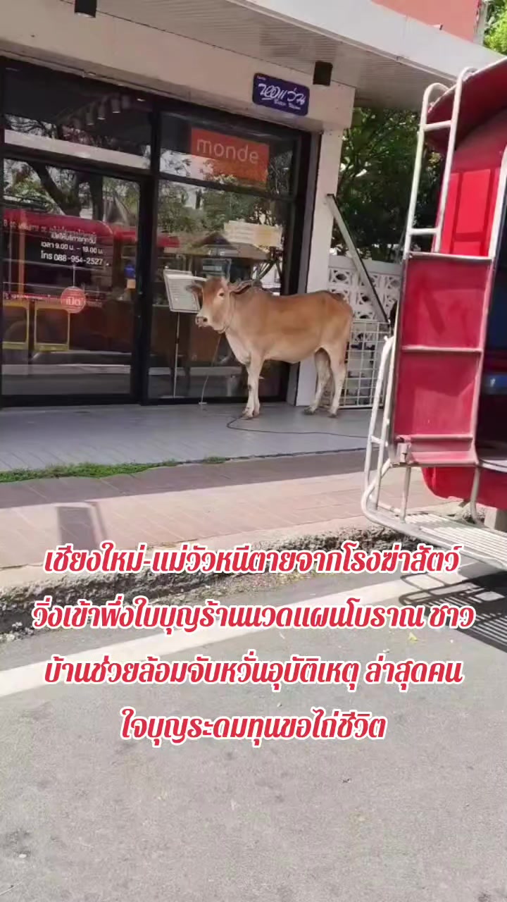 @มะหิสุตัง💜🕷️🕸️