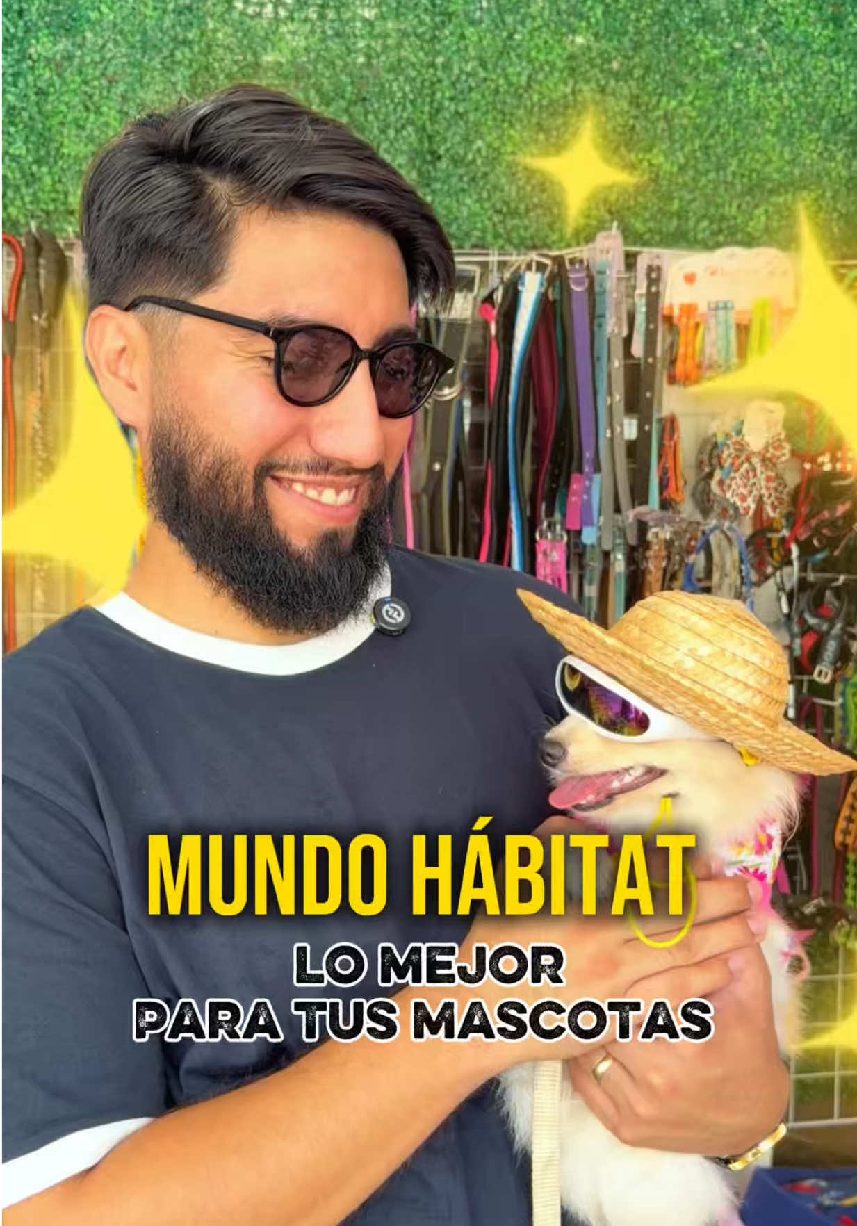 @Julio Leal Ortiz