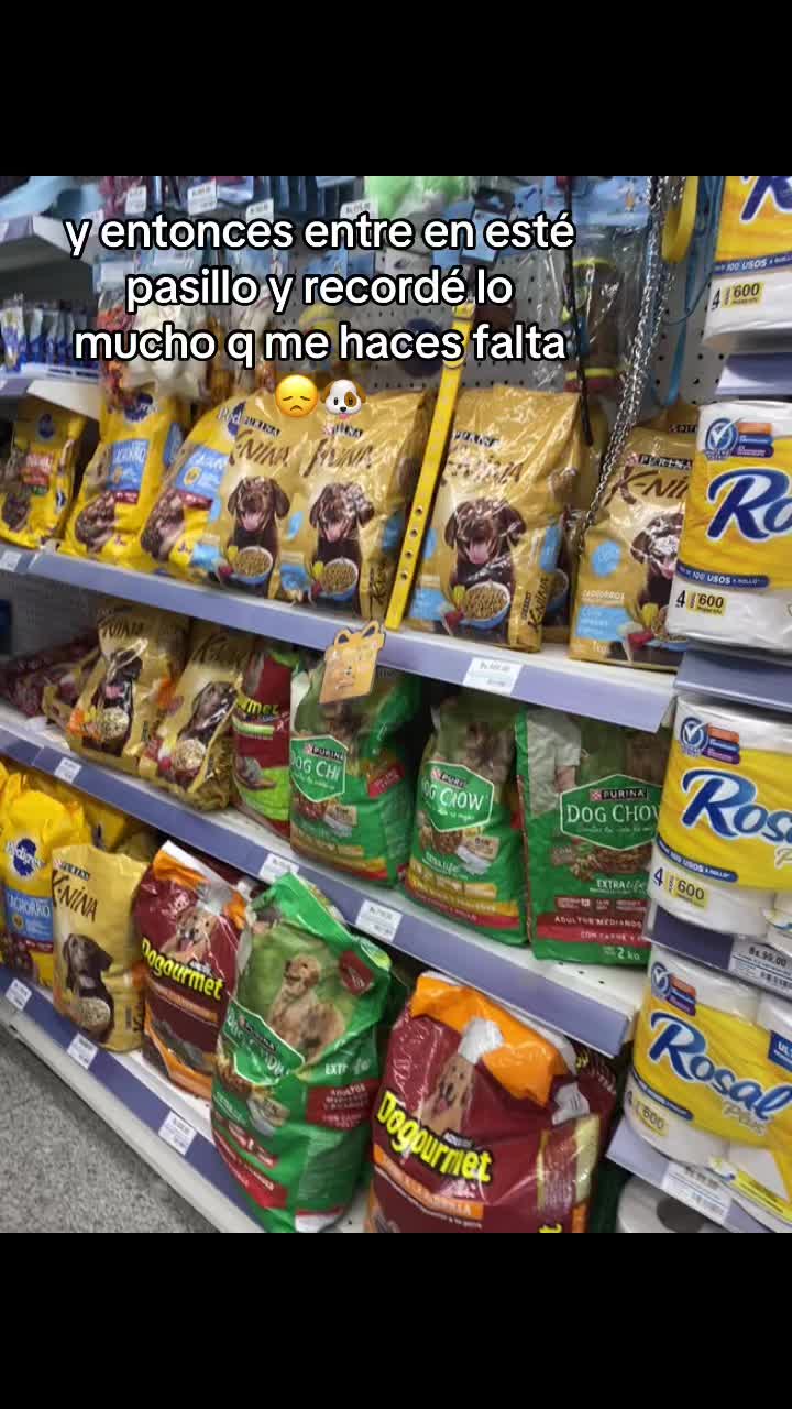 @Divi🦥.