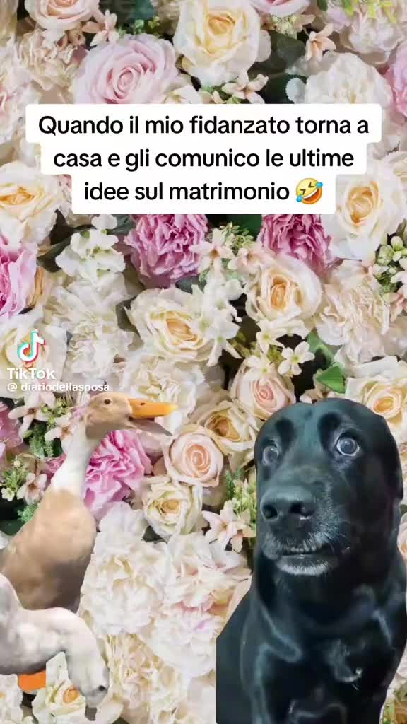 @Mirabela