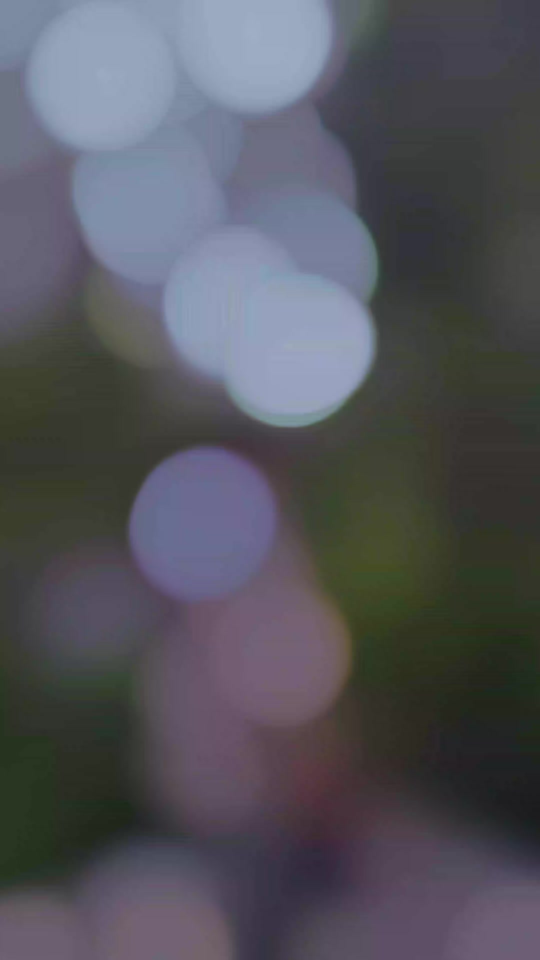@๐ฅท๐ป(b):---&๐ฟ