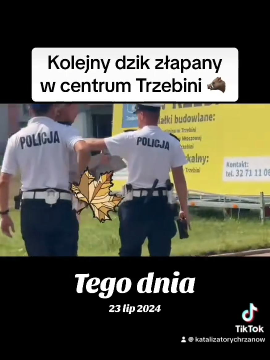 @DSAUTO-katalizatorychrzanow