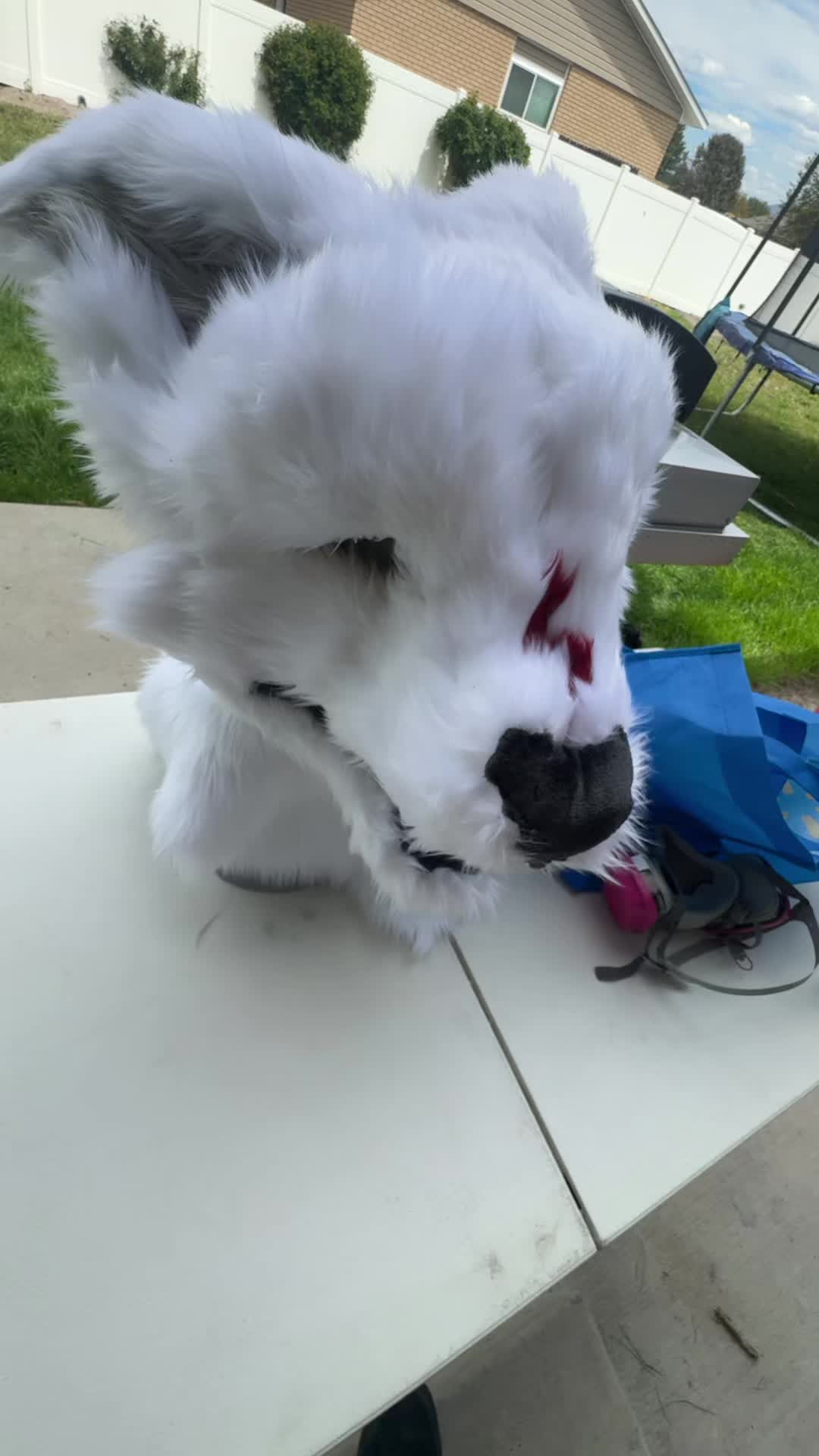 @pawbuttt🔜 MFF