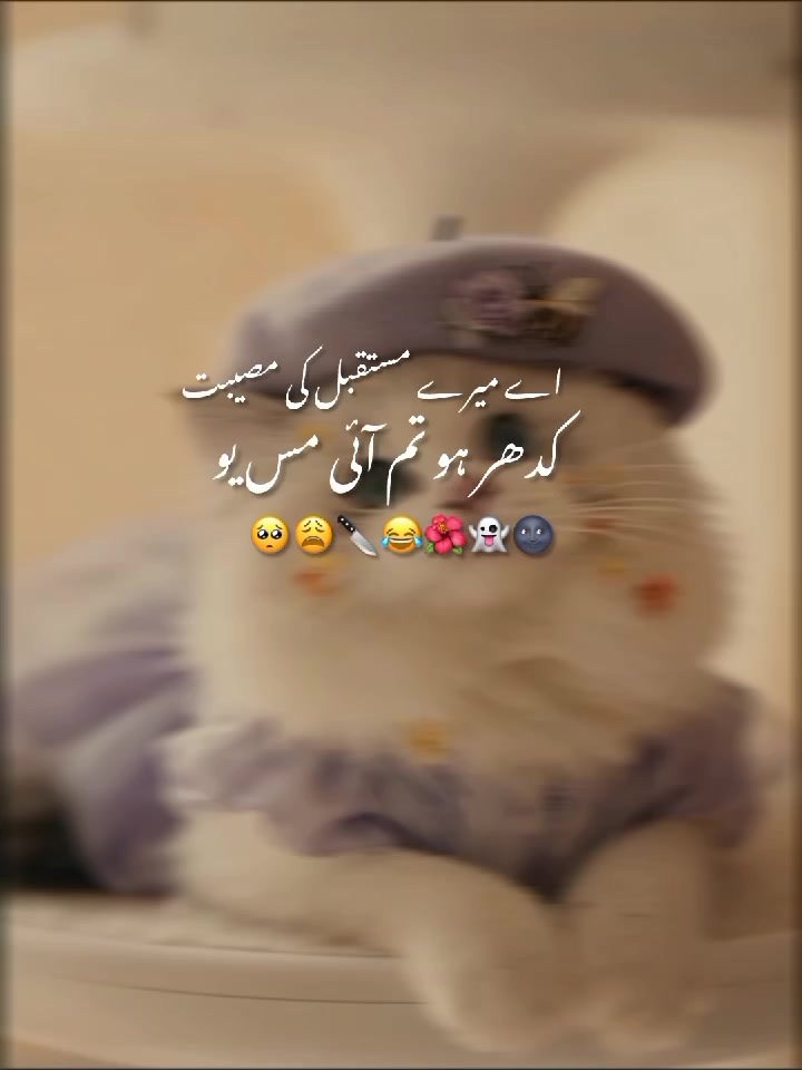 @🐼᭄❥شہــــــــــــــــزادی💗🌷