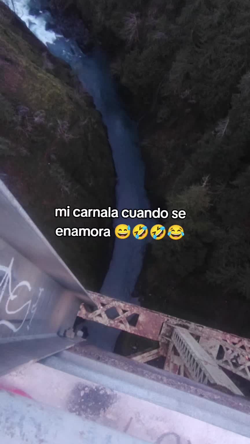 @el🐼CHACALITO 🐼🎹👑🫰🇬🇹🇺🇸