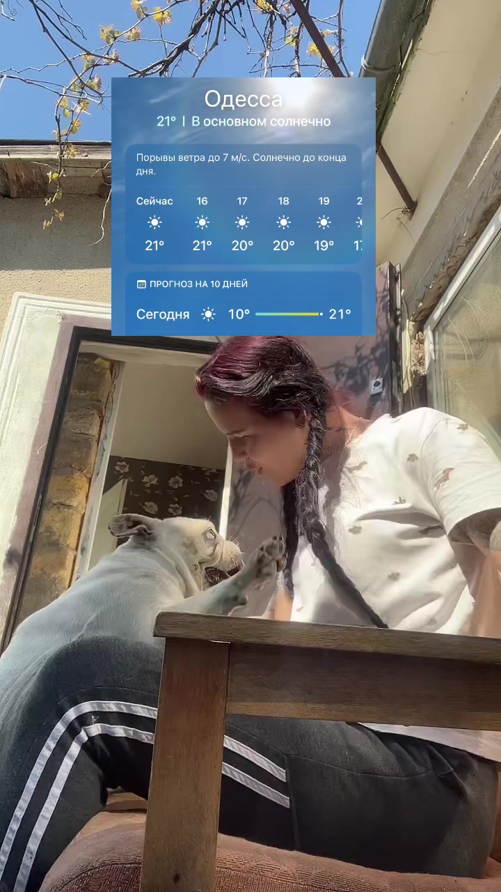@tancha23_
