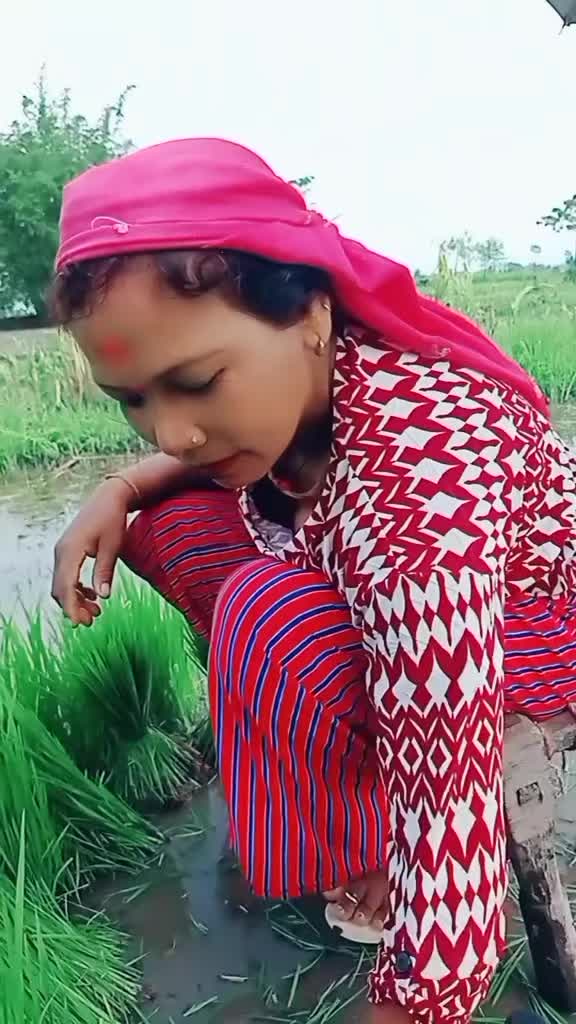 @sushila chudharya
