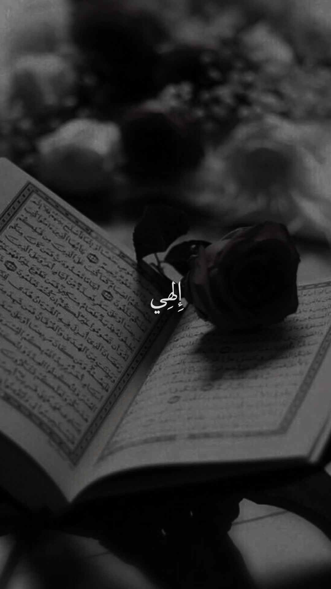 @قائد الغُرِّ المُحَجَّلين