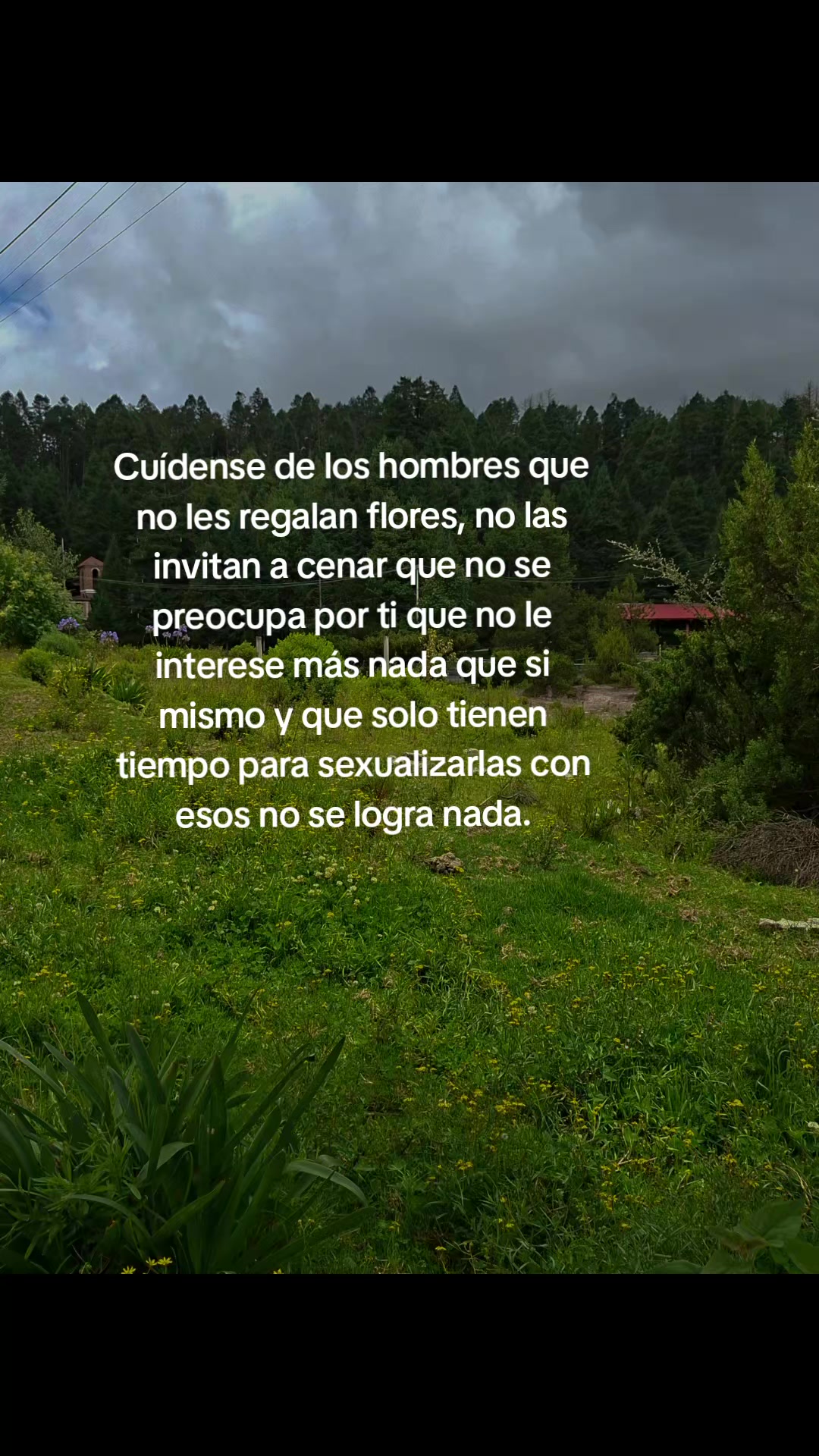 @LuzN