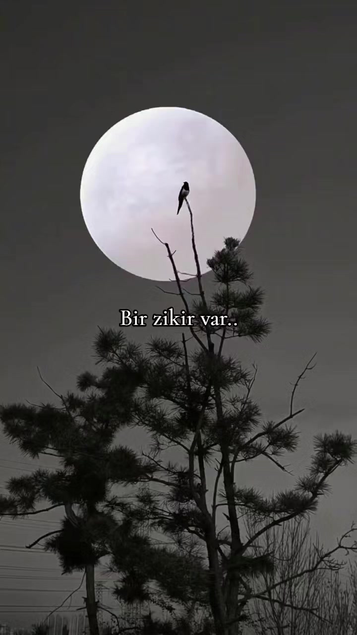 @𝐒𝐚𝐛𝐫_𝐘𝐨𝐥𝐮🌸🕋