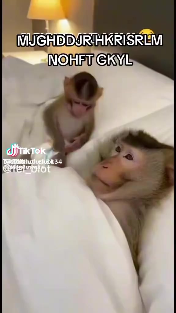 @๐โซท๊ง๐๐๐ ๐ ๐๐๐๐๐ฆโ ๊งโซธ๐