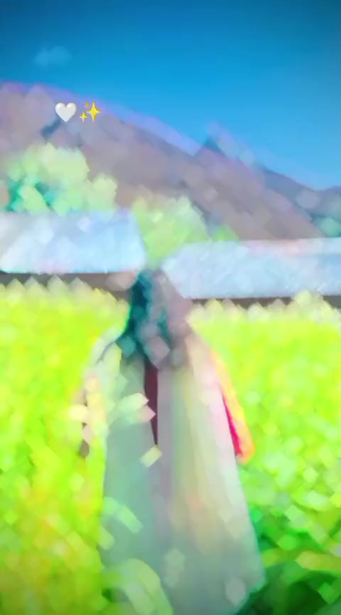 @🦋