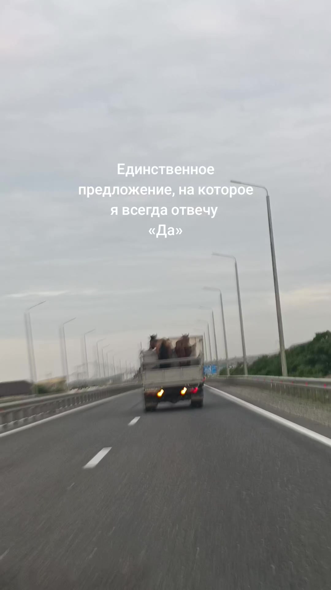 @TA❤️Nl