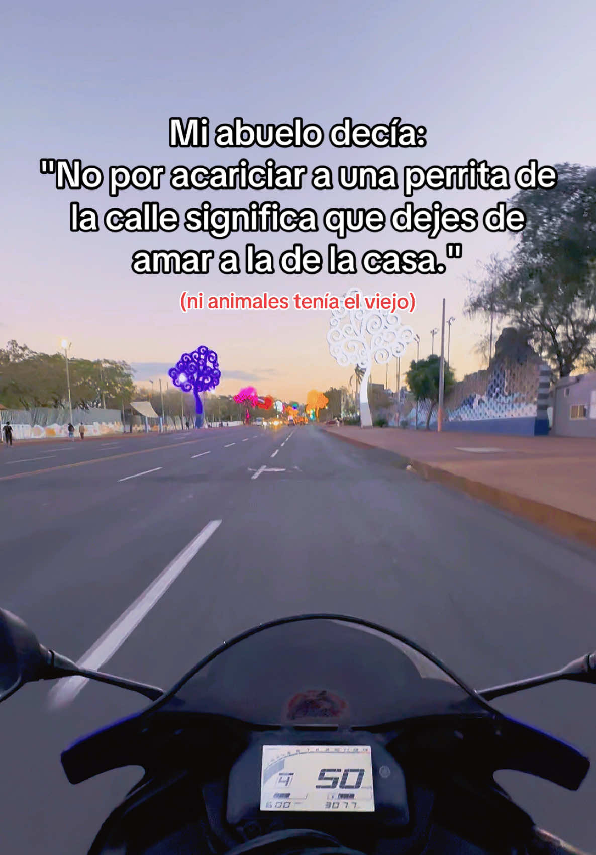 @Xavi Patasdeperro 🐾