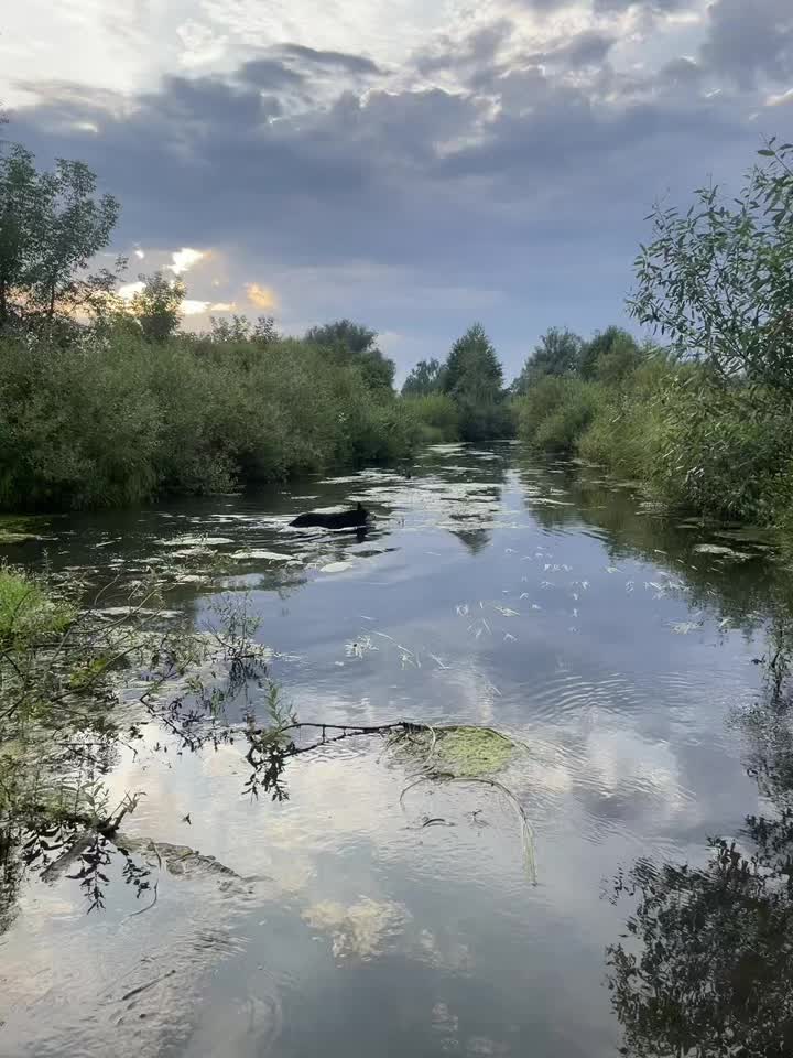 @викуша