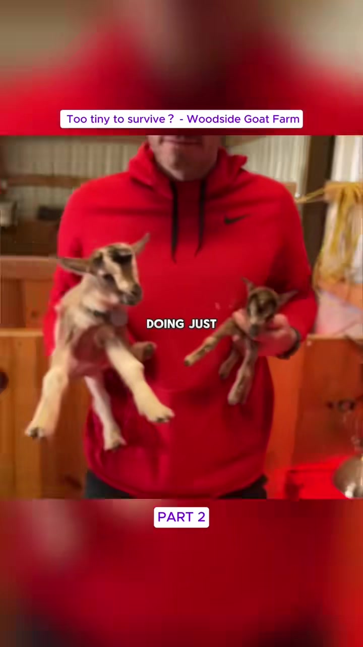 @Jejuclasus
