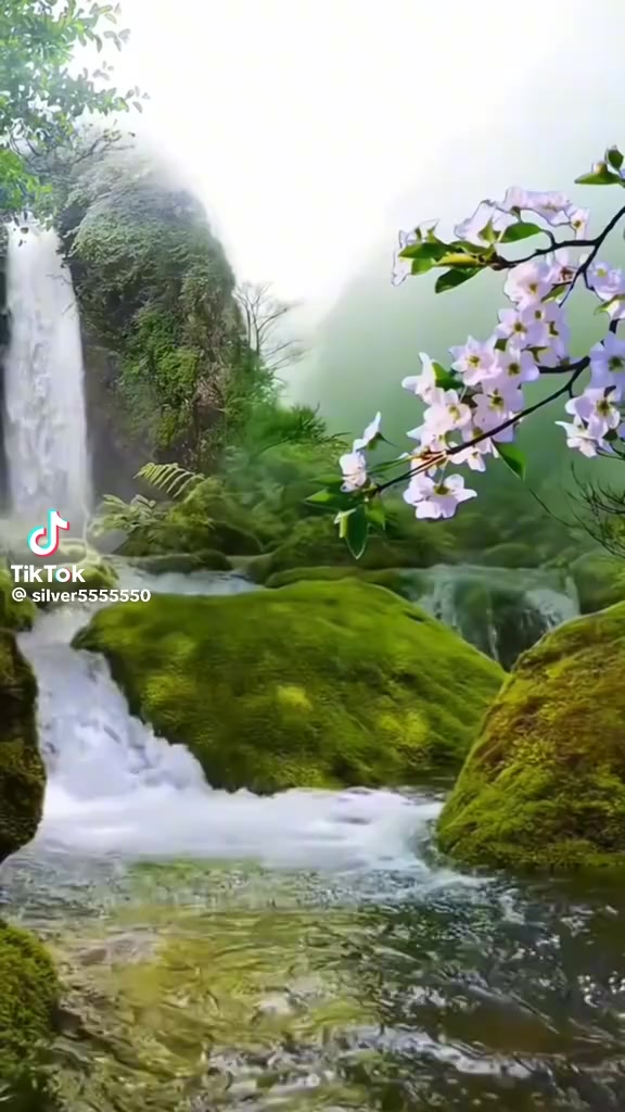 @sevgim sonsuz