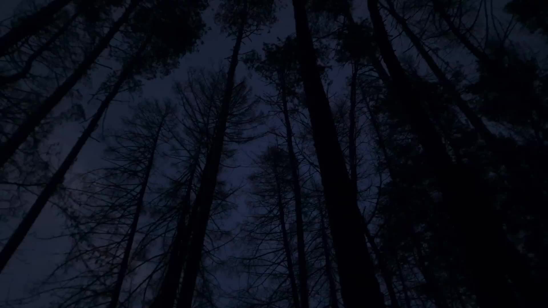 @ꙴ
