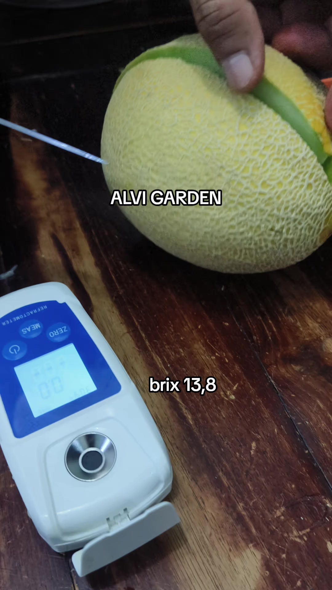 @Alvi Garden