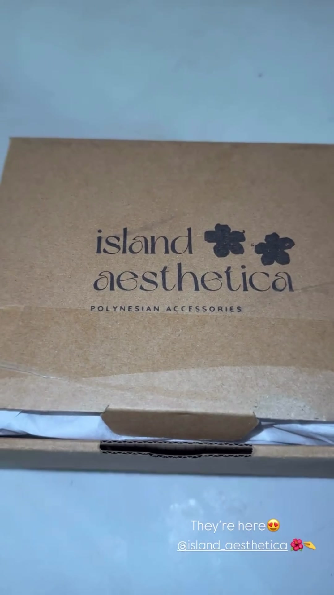 @Island Aesthetica ๐บ