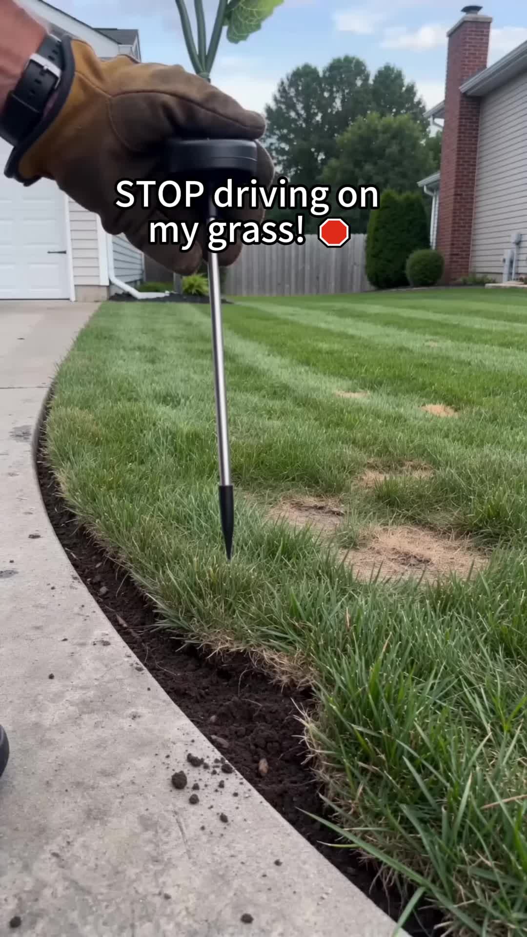 @Audrey