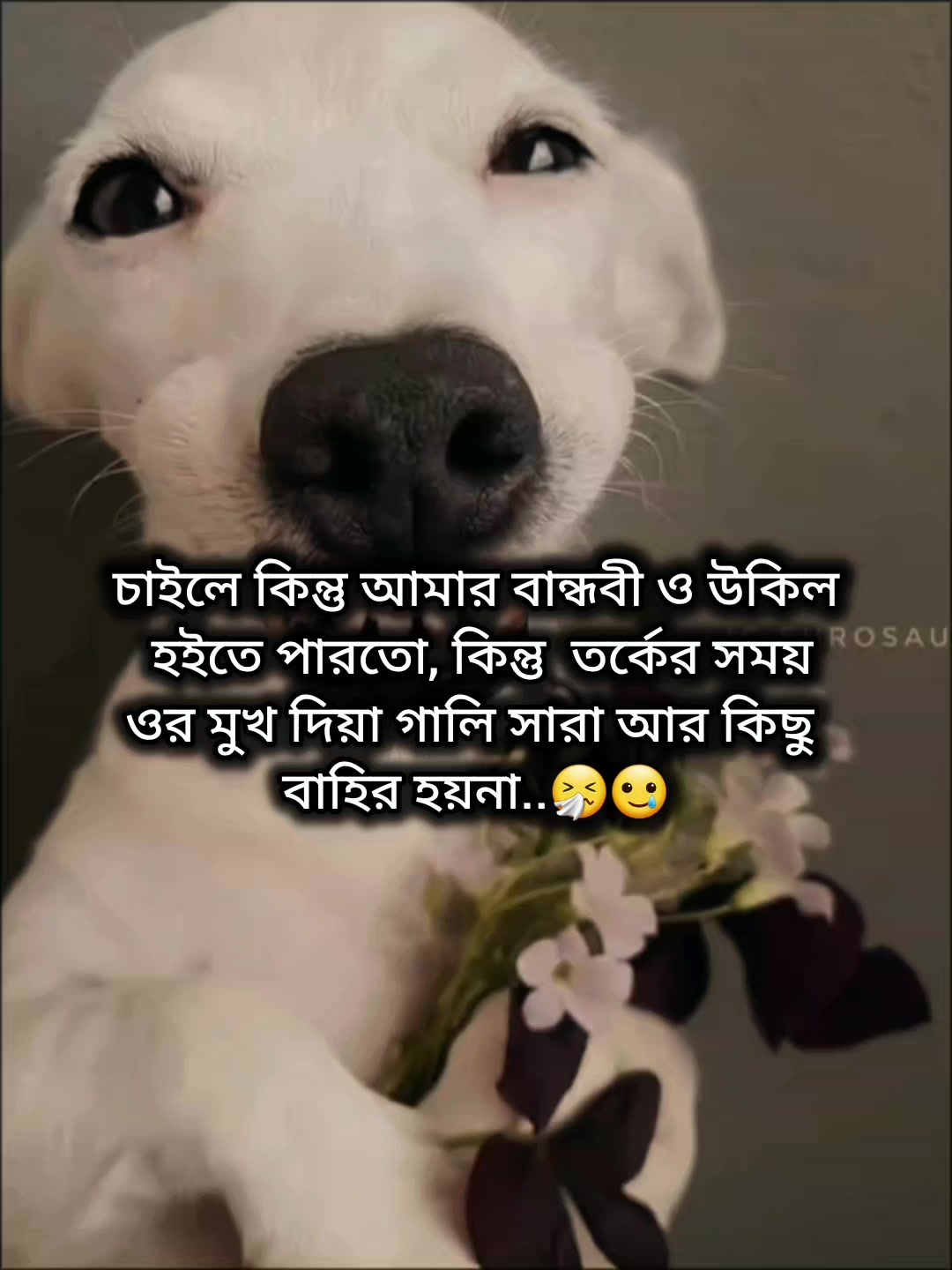 @Mᴀʀᴜғ Bɪʟʟᴀʜ 🌱