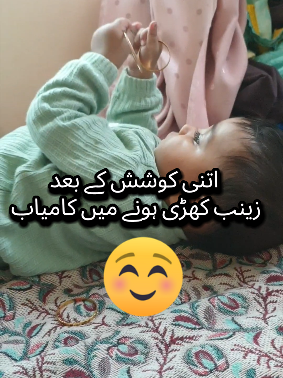 @zainab yamin