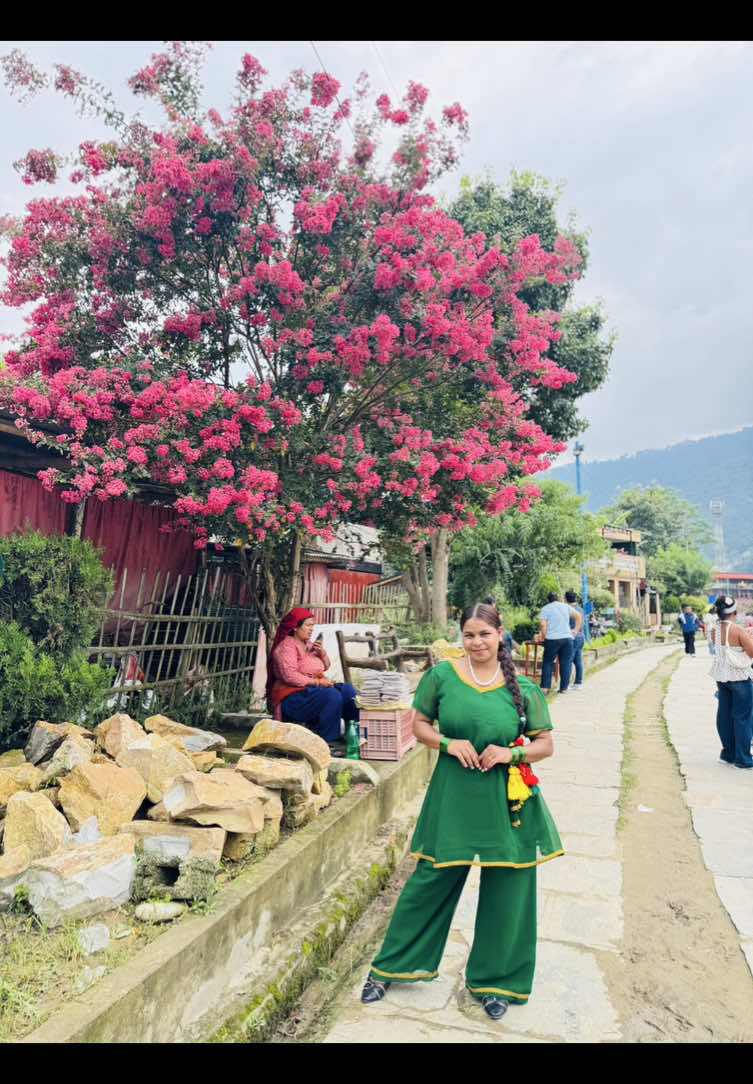 @Sandhya thapa 🤱