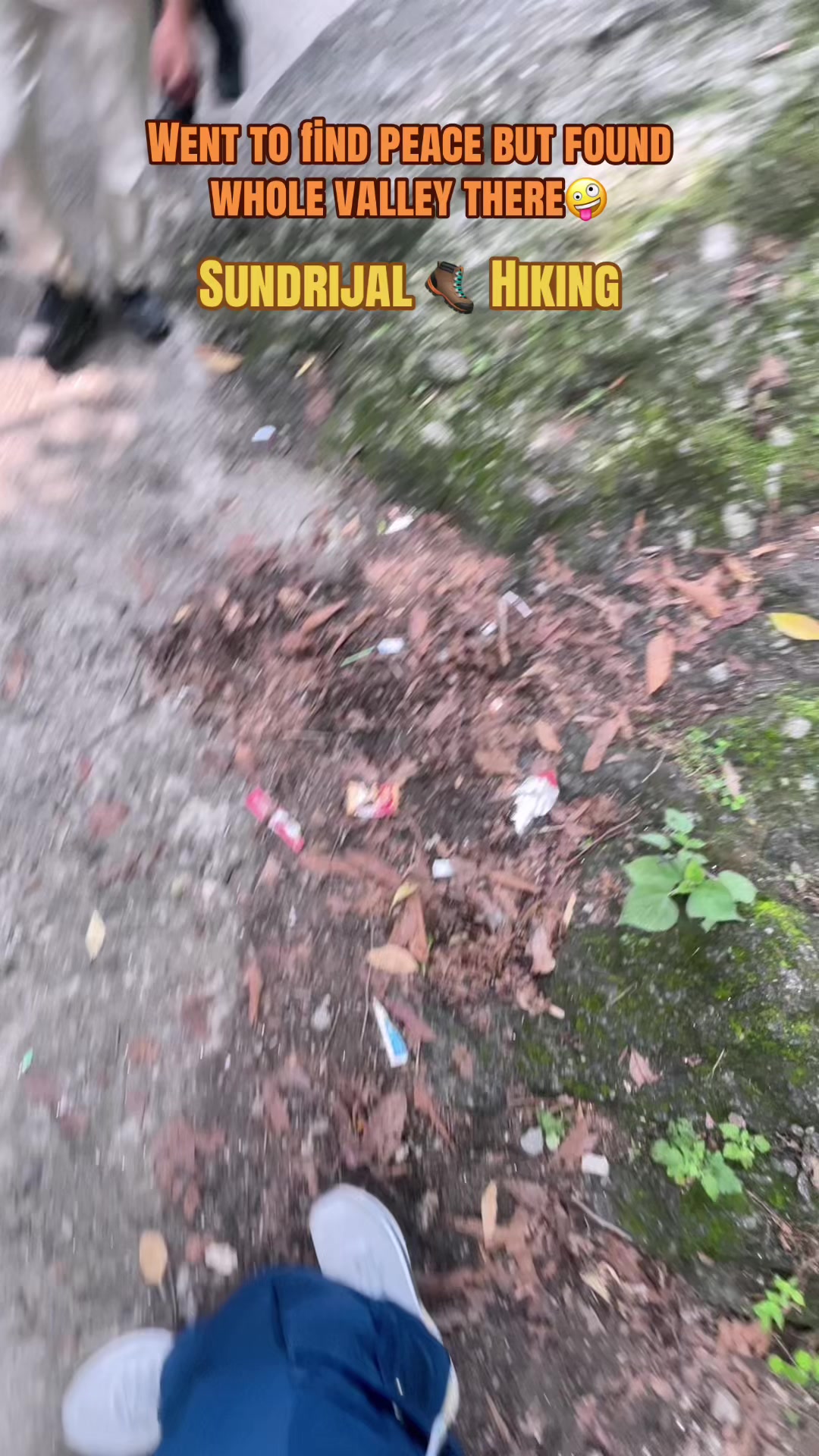 @थिँयाल 🌿