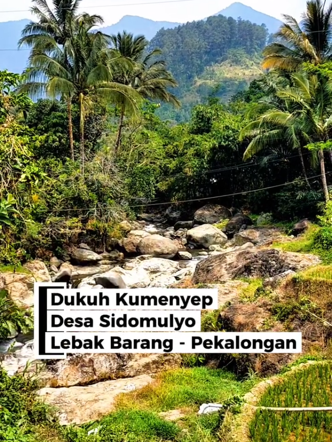 @Nasrullah
