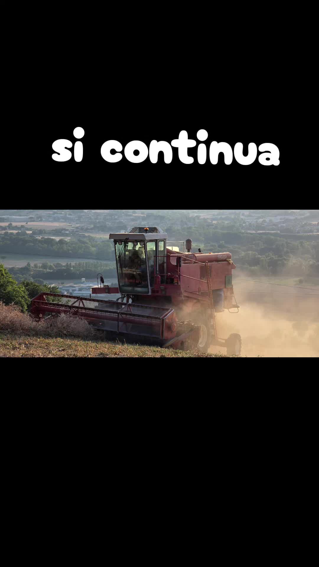 @mirta