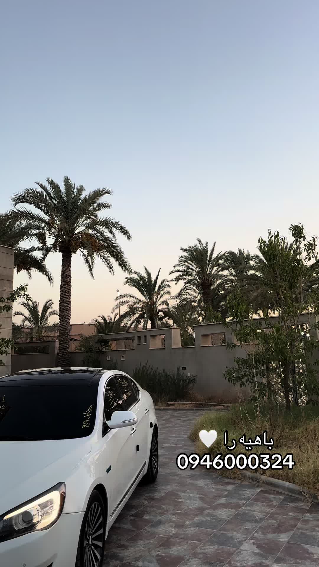 @مـراد عيسى