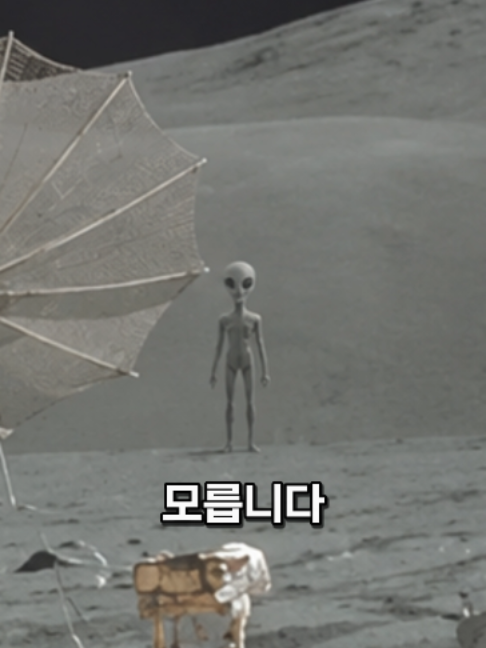 @매드머