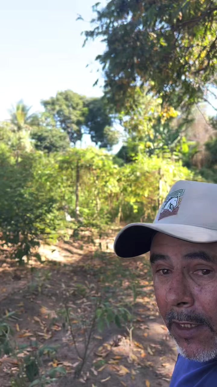 @Adão Oficial