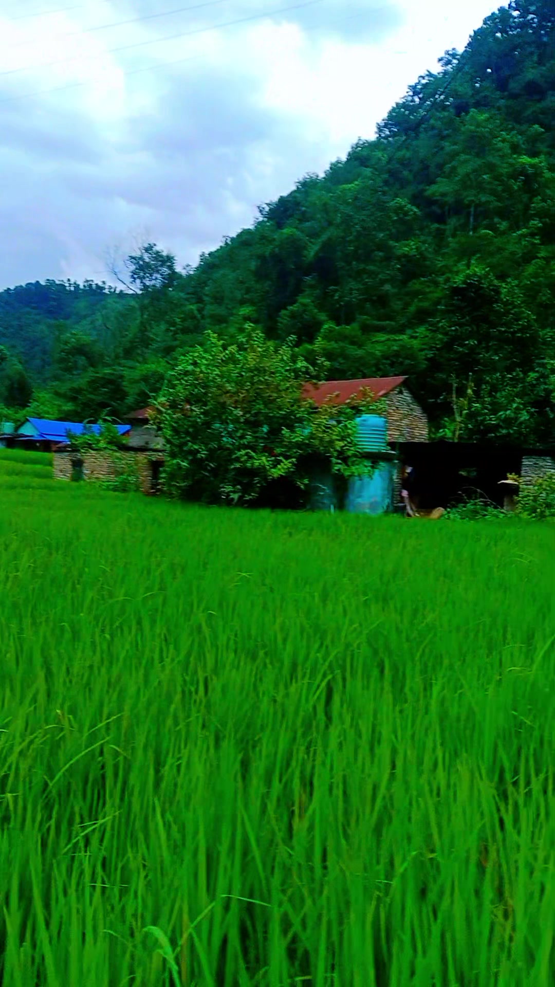 @Krishna Adhikari
