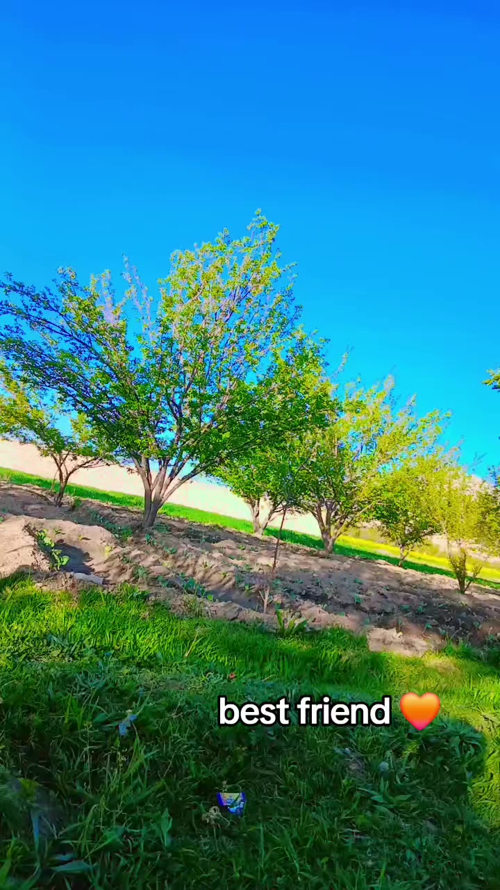 @Aimal khan kakar🩺🥼