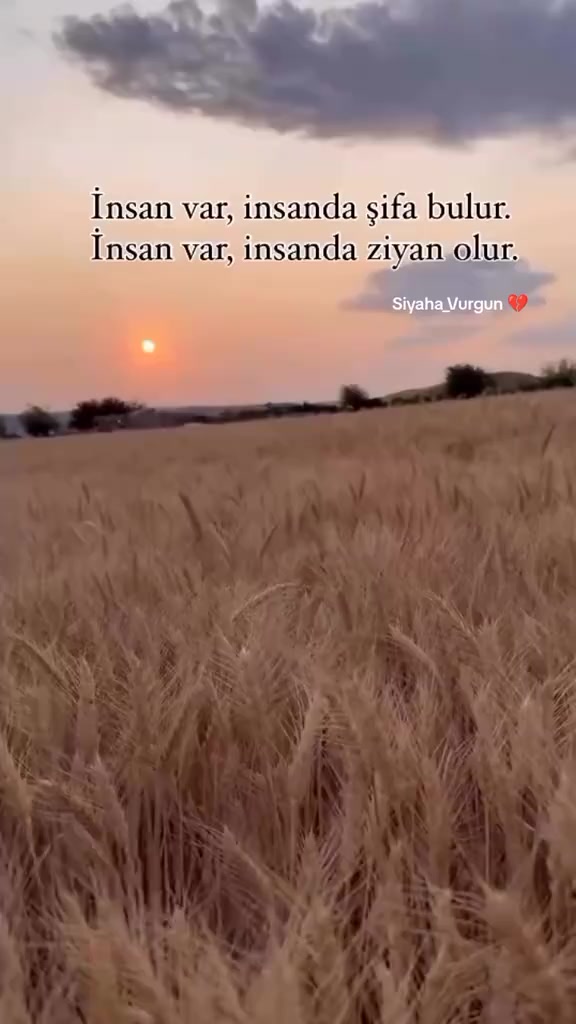 @🥀HAYALDİBİTTİ🥀