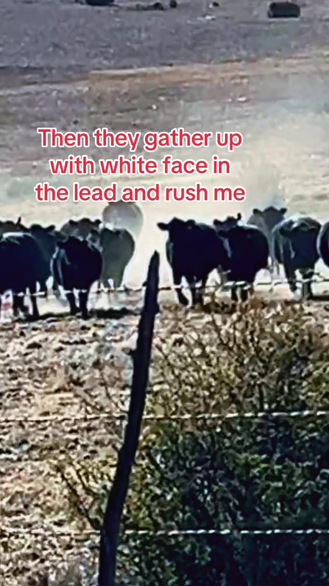 @AZ Off Grid
