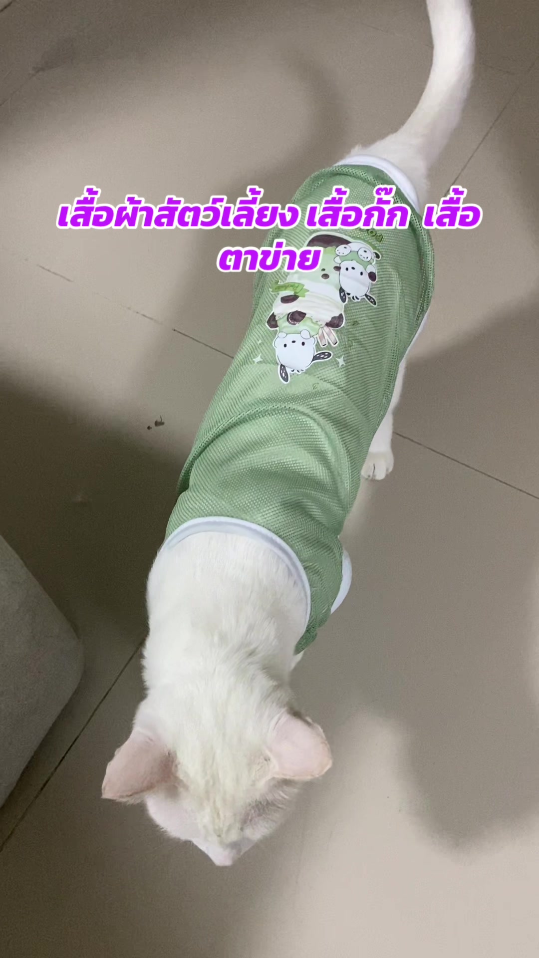 @luxsiriwan21