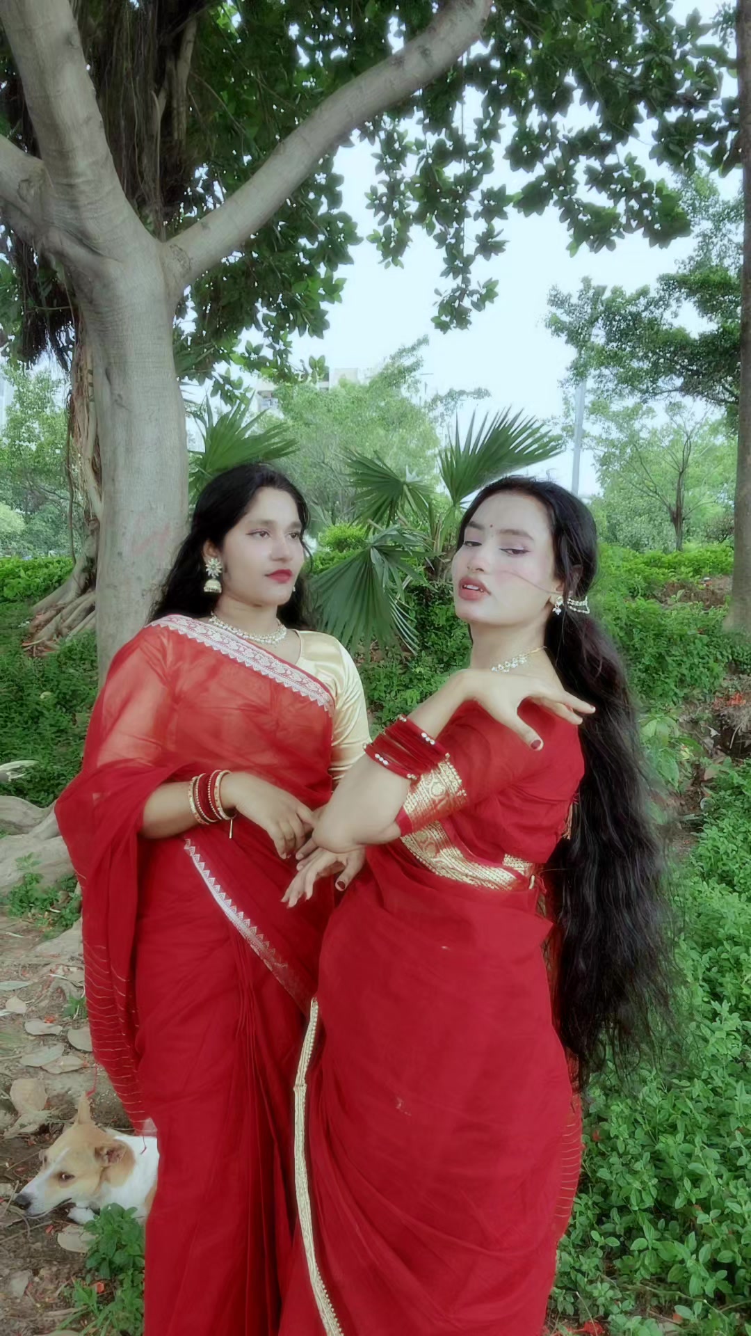 @Ritu Ana