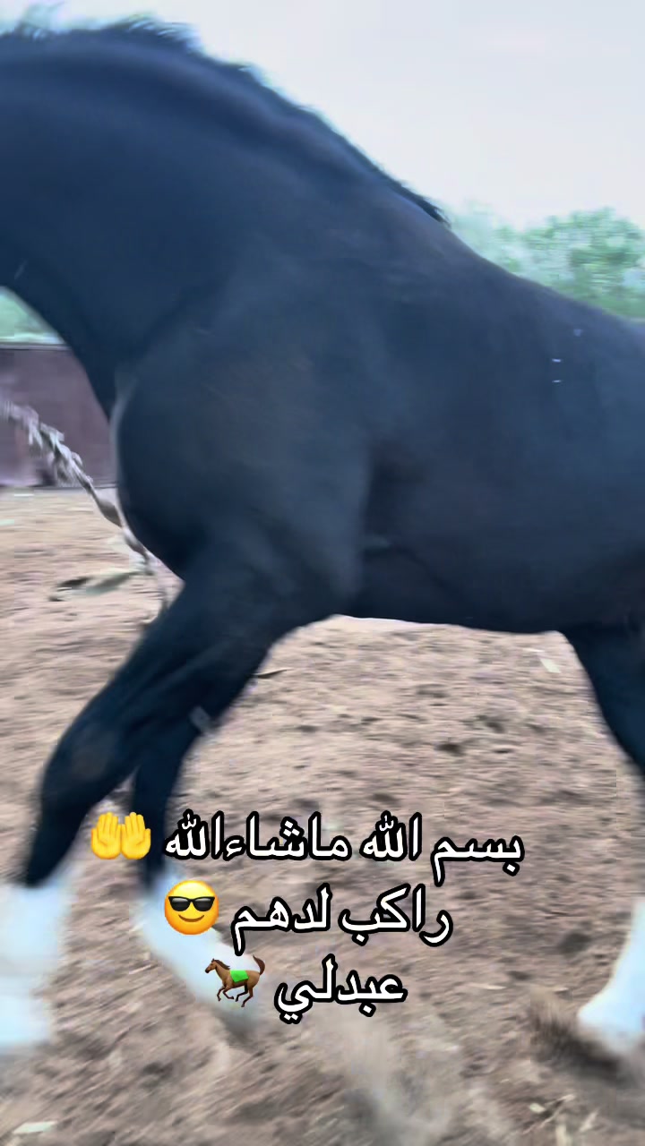 @jasser barhoumi راكب لدهم