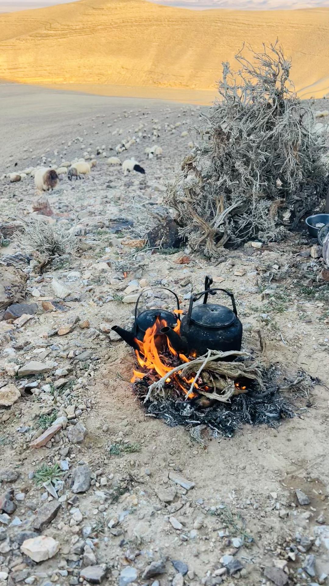 @خليل الشمري