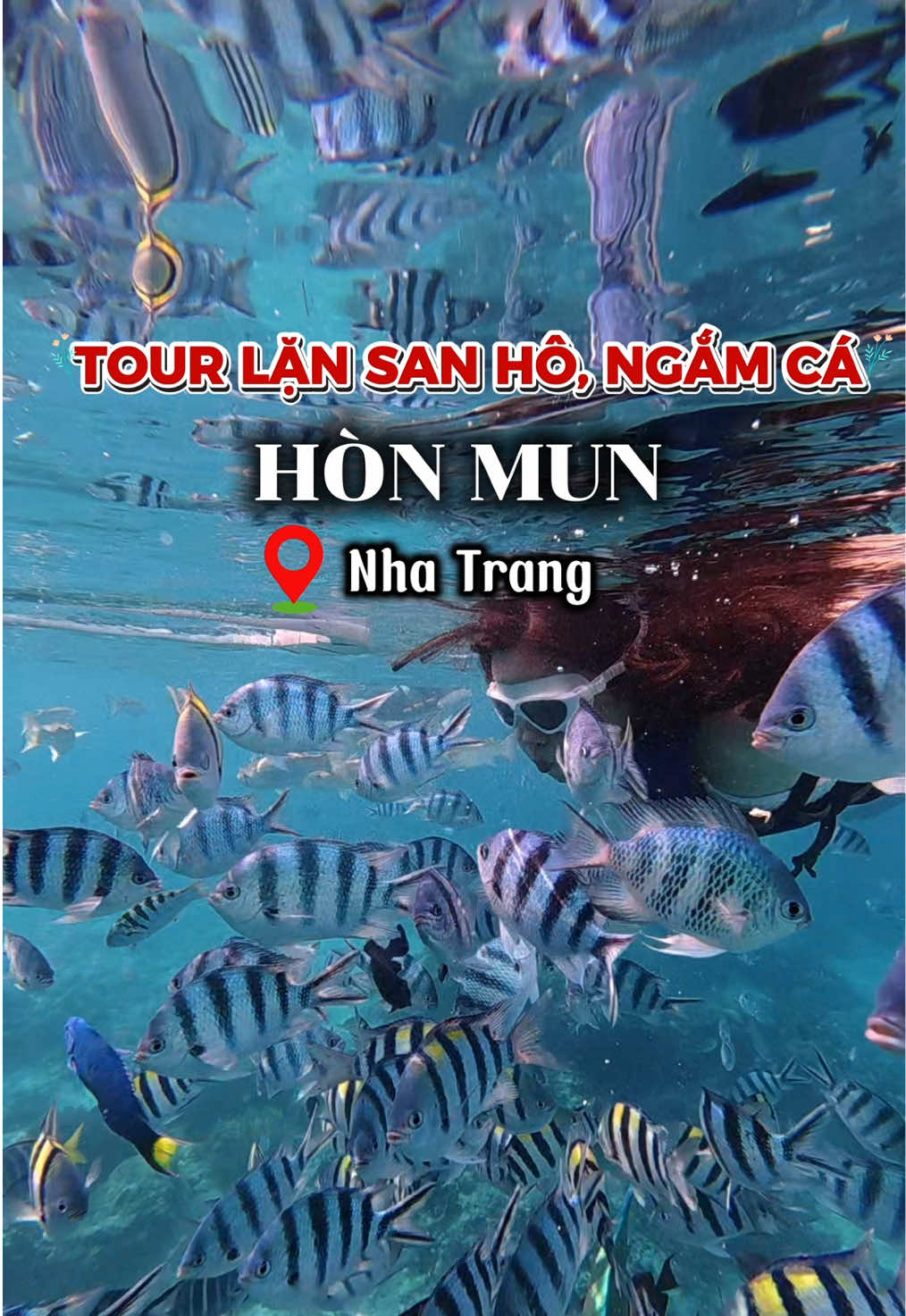 @NewSkyTrip-Nha Trang