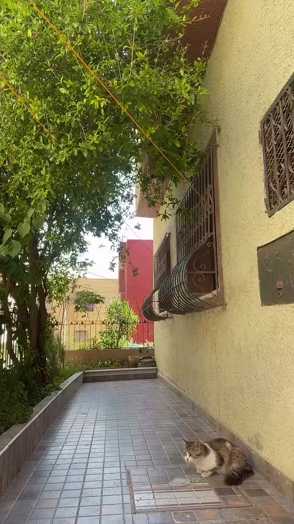 @مــــغــــربـــيــــة ❤️🔥🔥