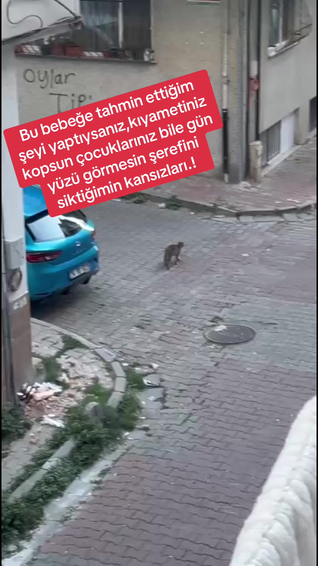 @Emine Yılmaz
