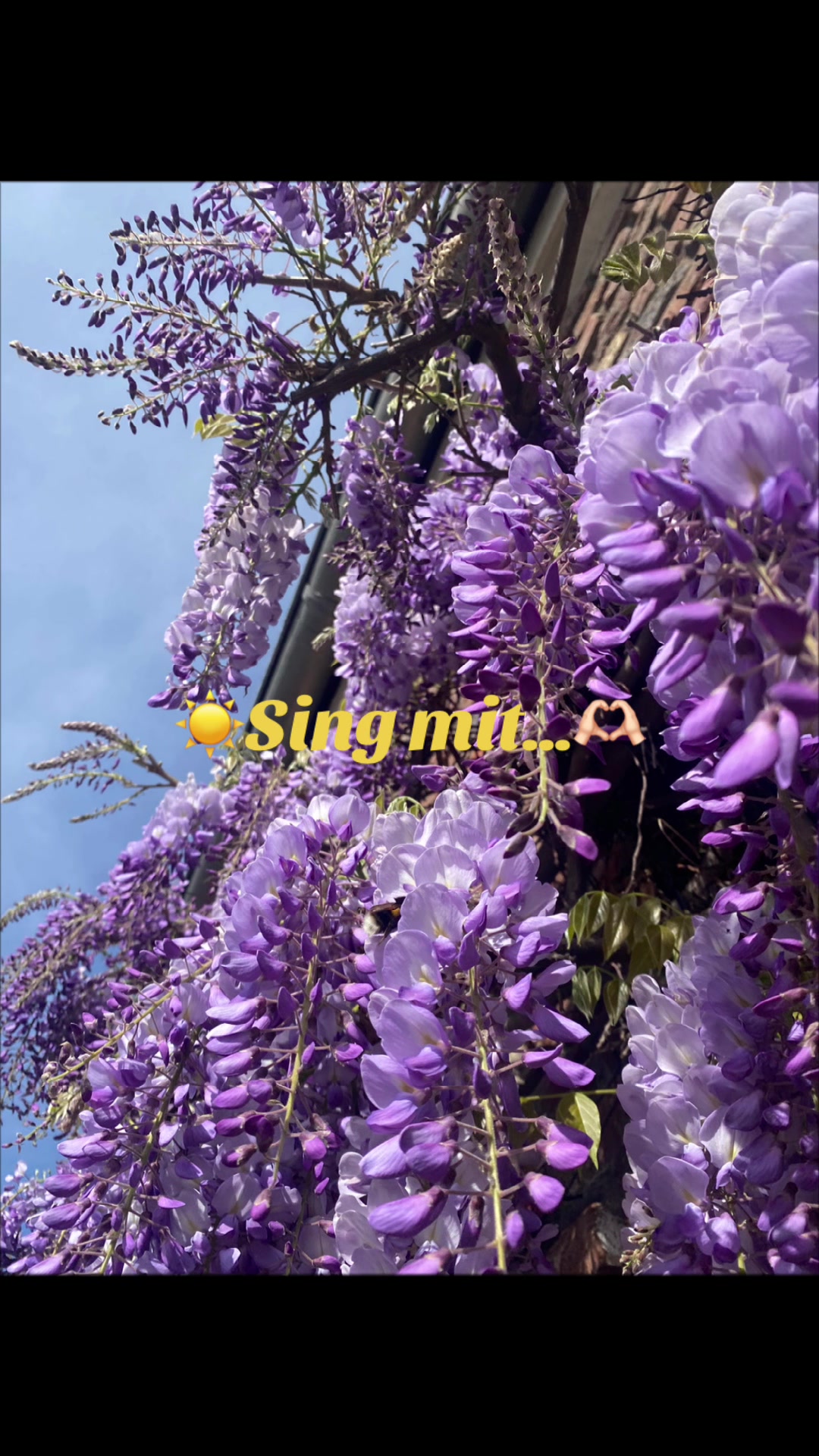 @Sun☀️