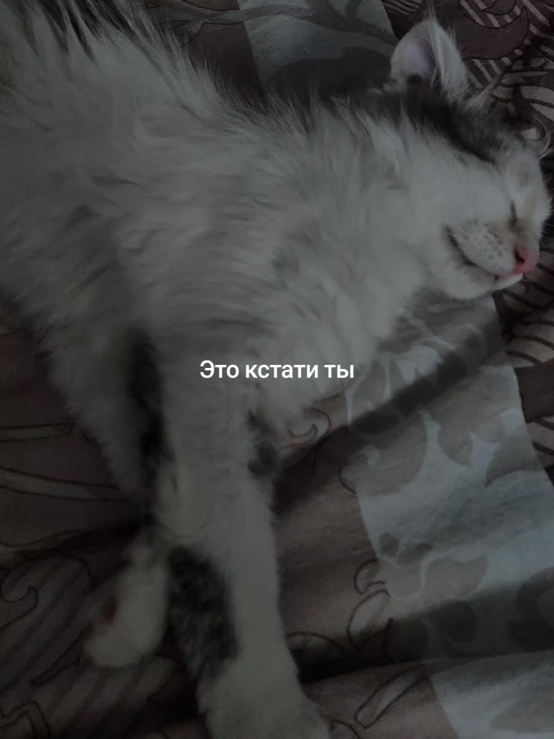 @musicofthesoul